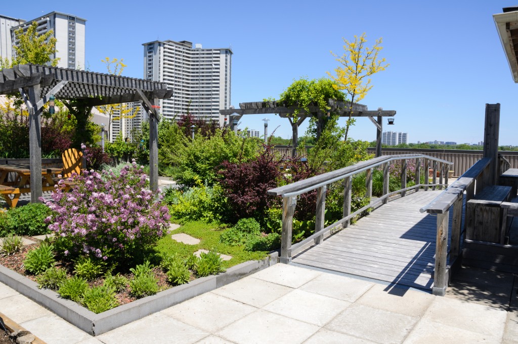 Landscaped rooftop garden