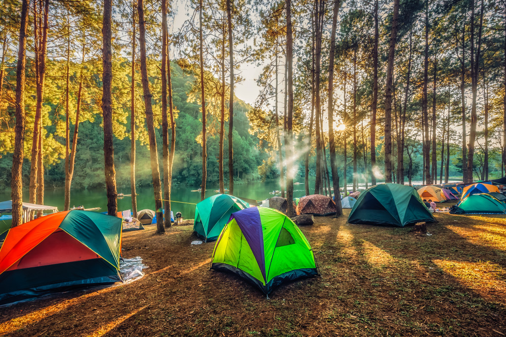 a bunch of tents